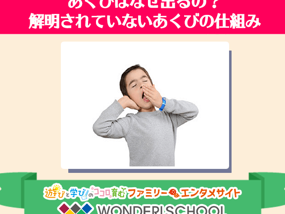 あくびはなぜ口が開くのか、そのメカニズムを解説