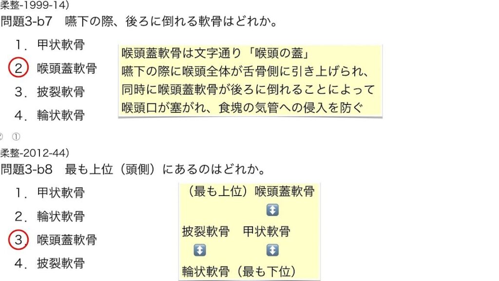 声門を開く主動作筋はどれかを徹底解説